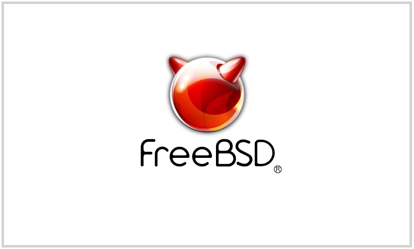 ../../_images/index_freebsd.jpg